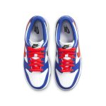 Nike-Dunk-Low-GS-Mismatched-Swoosh-Streetwear-Fashion